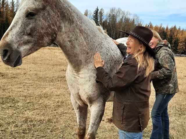 Horses and Humans Healing Together through Heart to Heart Connections
